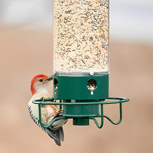 Aviro™ - Keeps Squirrels Spinning, Birds Feeding Calmly