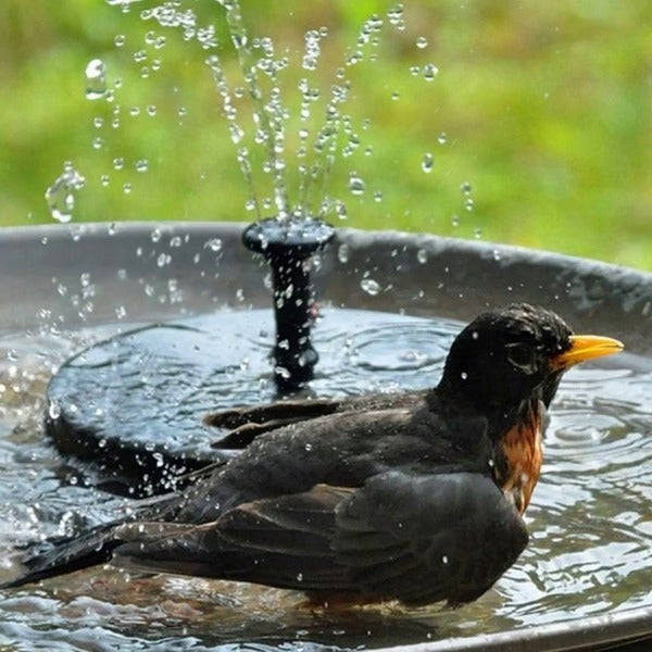 Lumin™ - Gentle Solar Water Motion Without Wiring