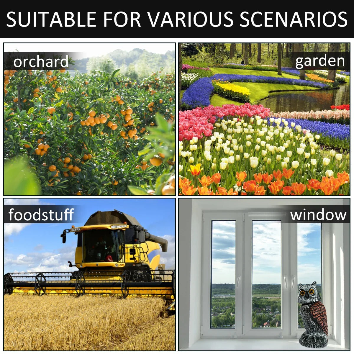 Aviara™ - Realistic Visual Predator for Garden Protection