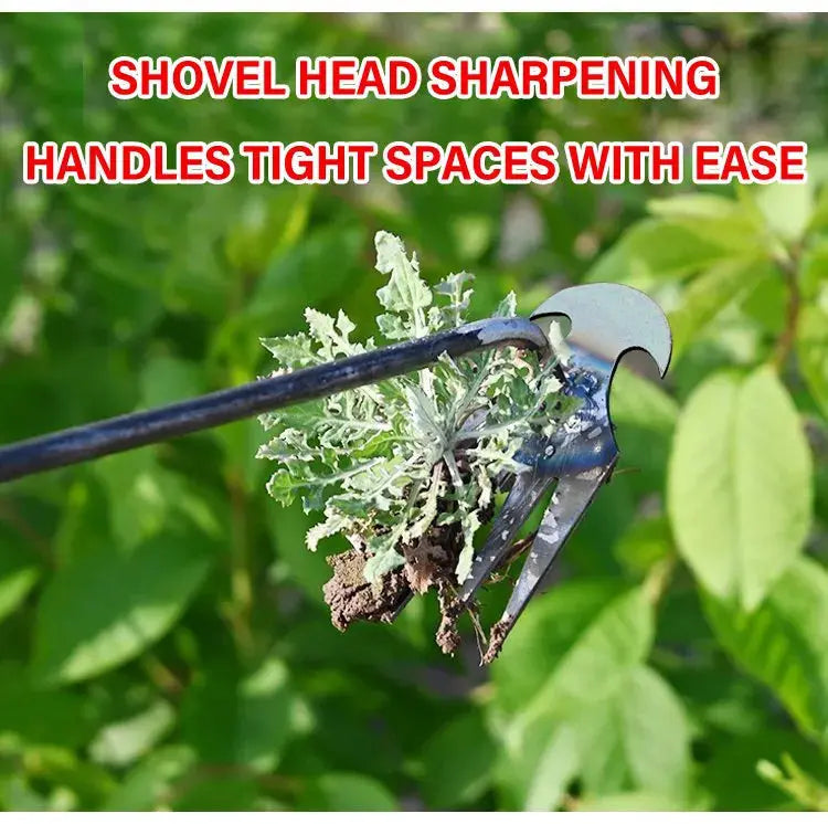 Verdan™ - Stand-Up Root Extraction With Minimal Bending