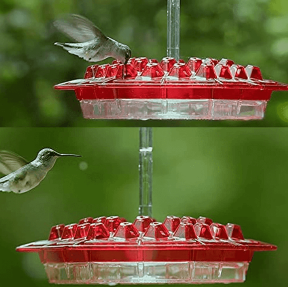 Nectra™ - Attracts Multiple Hummingbirds Without Bees