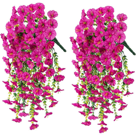 Aureli™ - Year-Round UV Resistant Cascading Morning Glory Vine