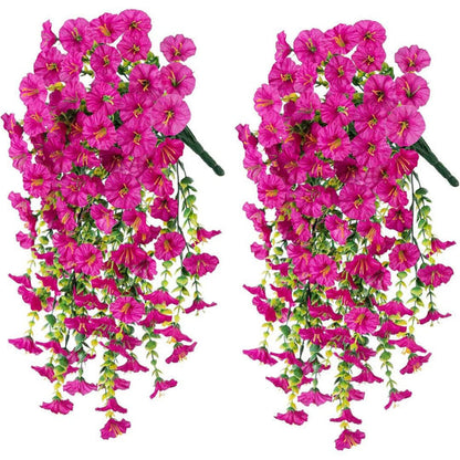 Aureli™ - Year-Round UV Resistant Cascading Morning Glory Vine