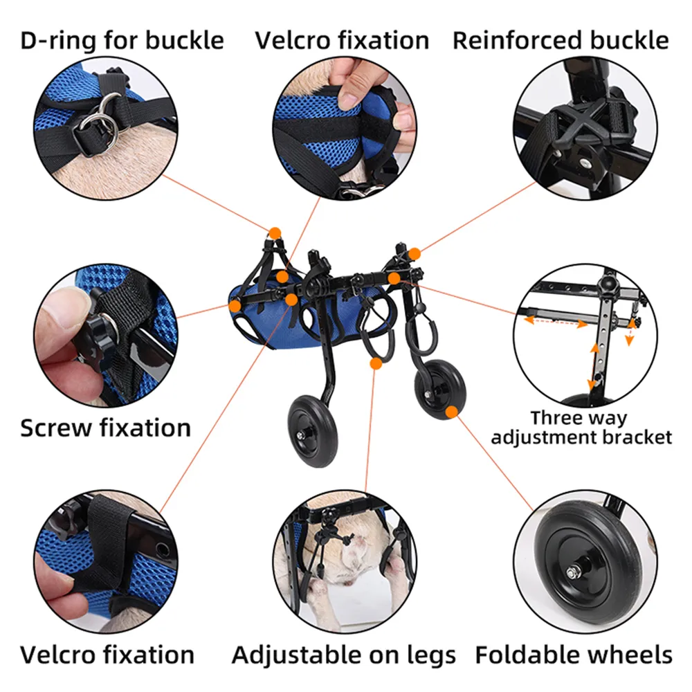 VeloPet™ - Restores Rear Mobility for Everyday Movement