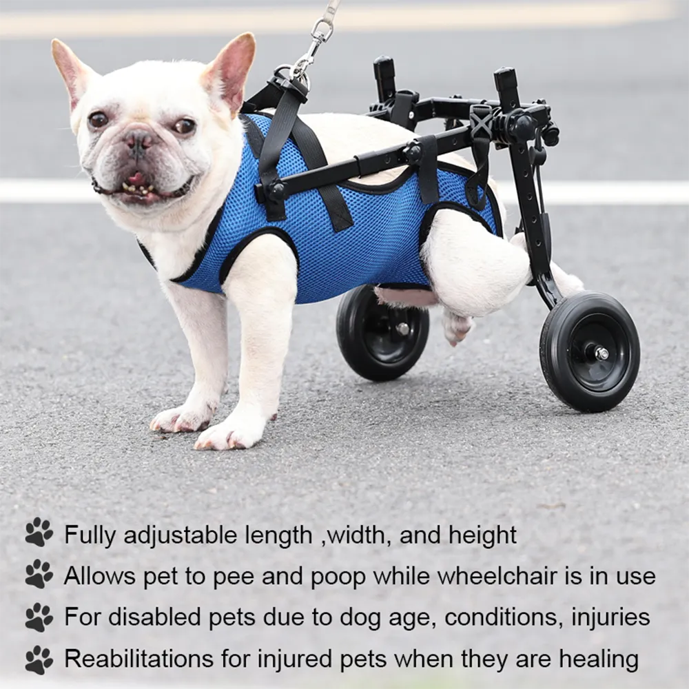 VeloPet™ - Restores Rear Mobility for Everyday Movement