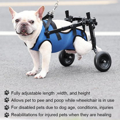 VeloPet™ - Restores Rear Mobility for Everyday Movement