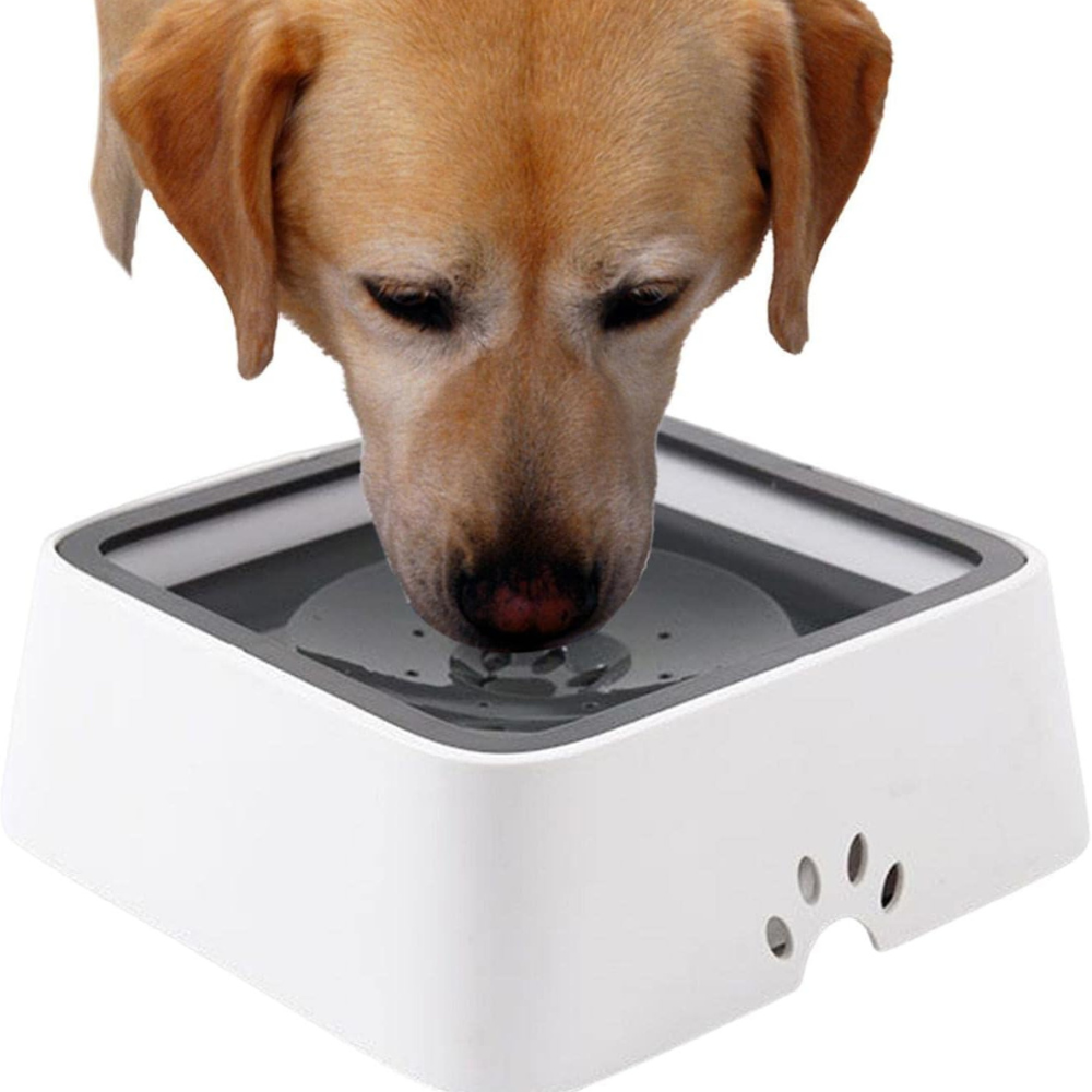 Hydra™ - Controlled Water Flow Bowl For Calm Drinking