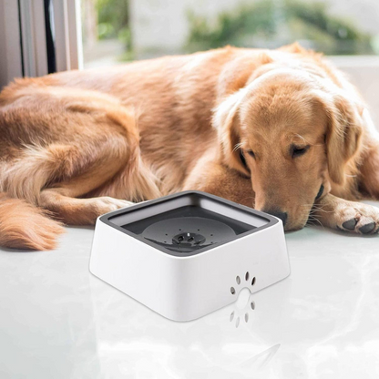Hydra™ - Controlled Water Flow Bowl For Calm Drinking