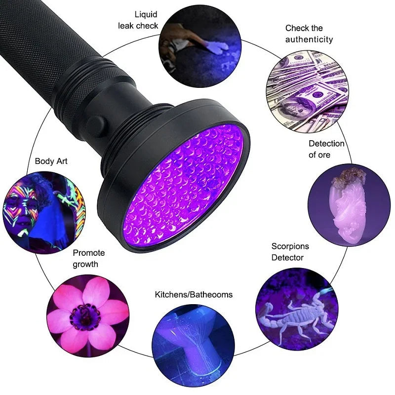 Noctis™ - Reveal Hidden Stains and Pests with Ease