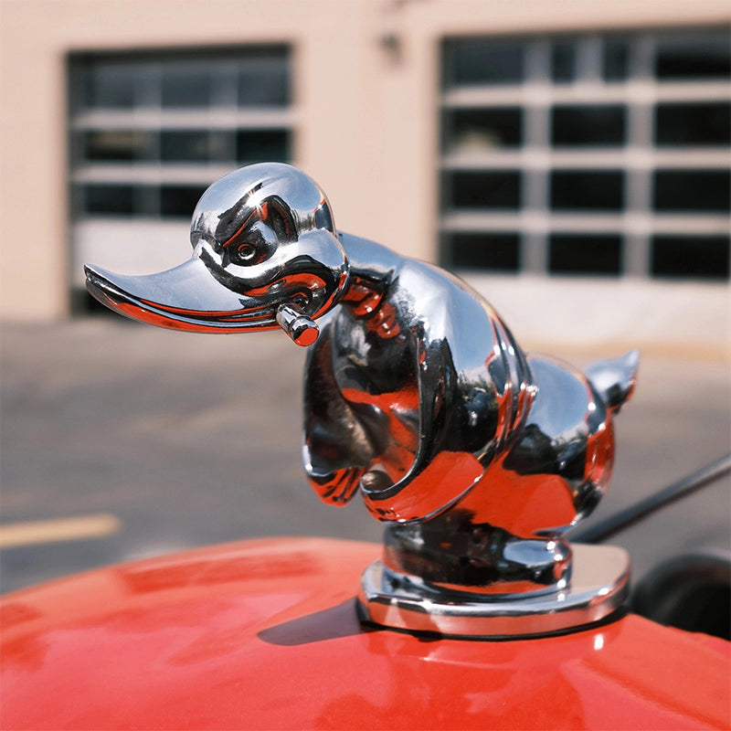 Aviqua™ - Adds Playful Grille Accent With Secure Pin Mounting