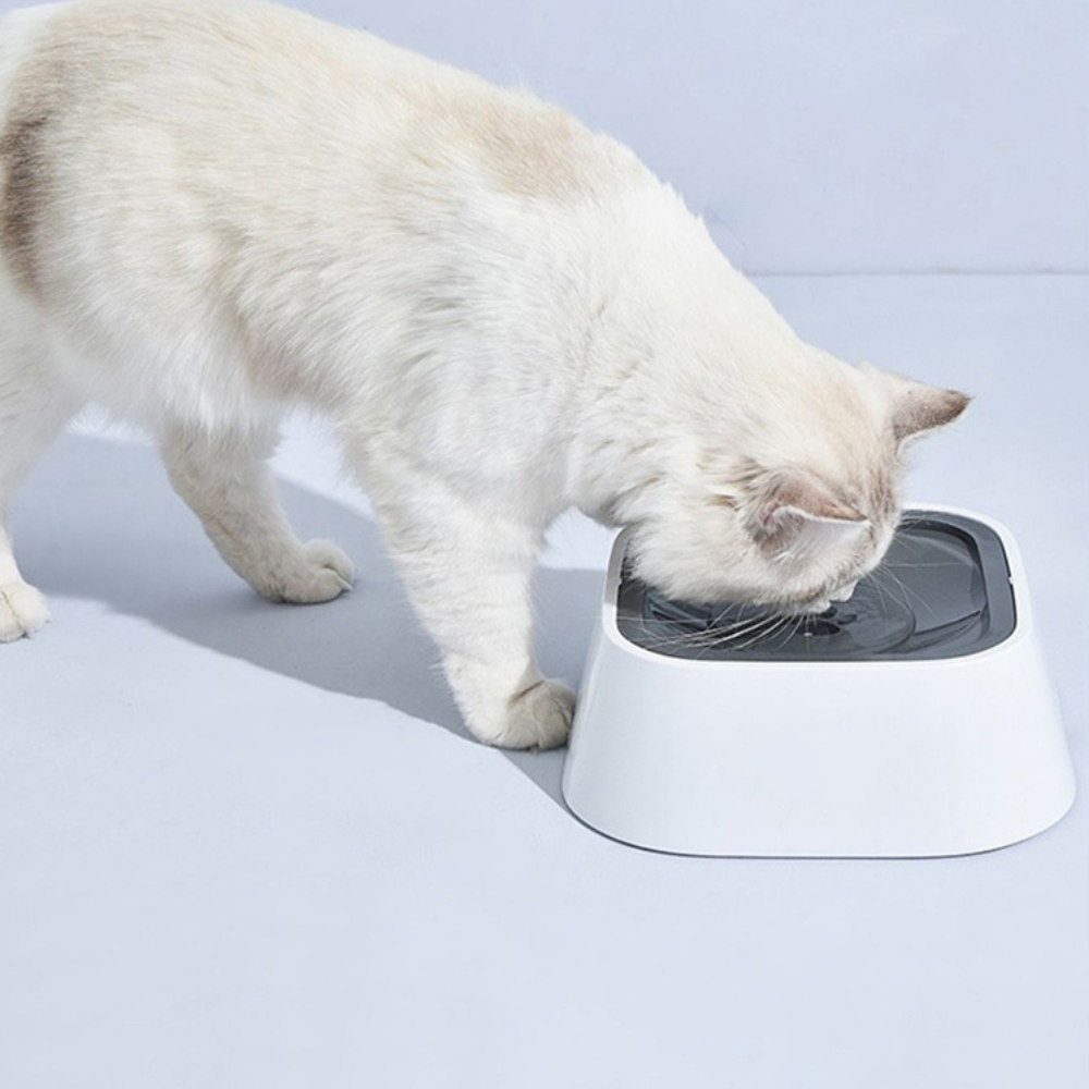 Hydra™ - Controlled Water Flow Bowl For Calm Drinking