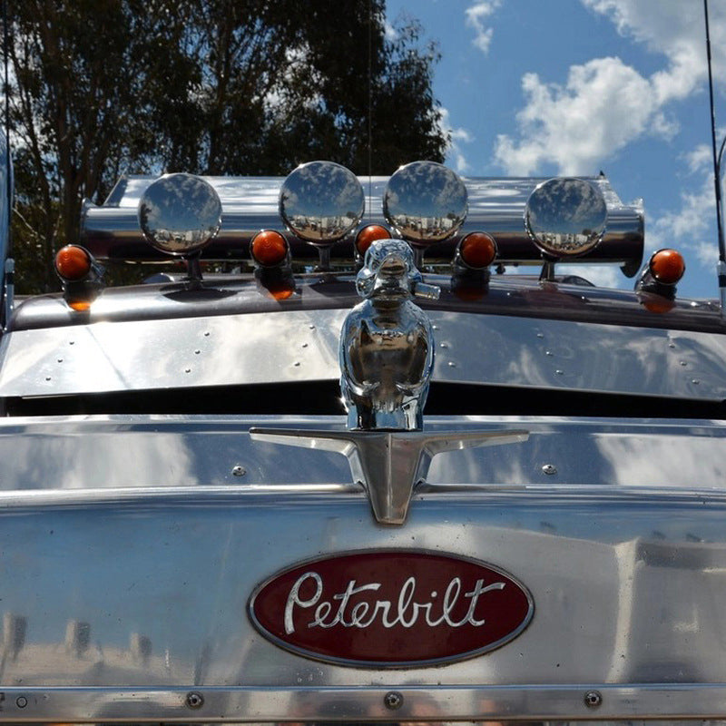 Aviqua™ - Adds Playful Grille Accent With Secure Pin Mounting