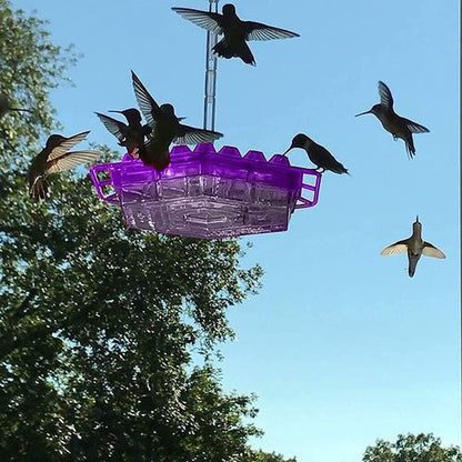 Nectra™ - Attracts Multiple Hummingbirds Without Bees