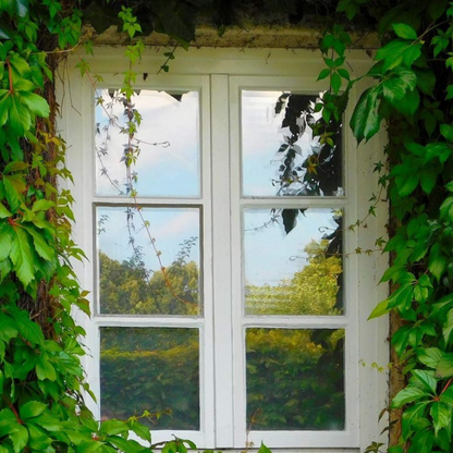 Glasave™ - Daytime Mirror Privacy With Heat Reduction