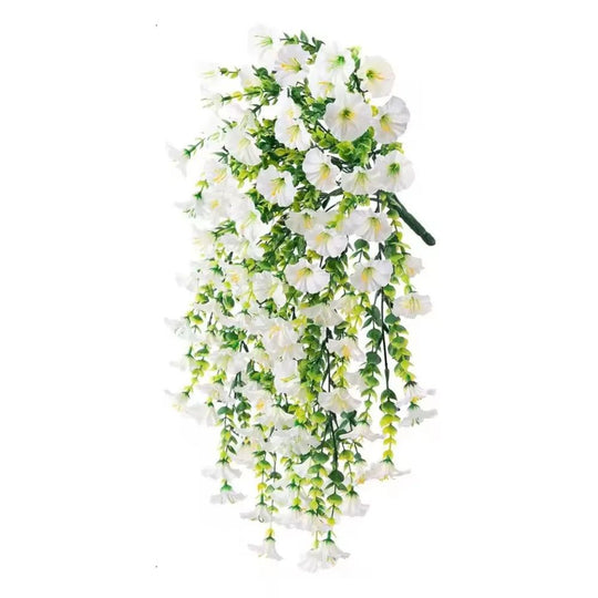 Aureli™ - Year-Round UV Resistant Cascading Morning Glory Vine