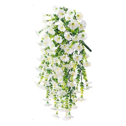 Aureli™ - Year-Round UV Resistant Cascading Morning Glory Vine