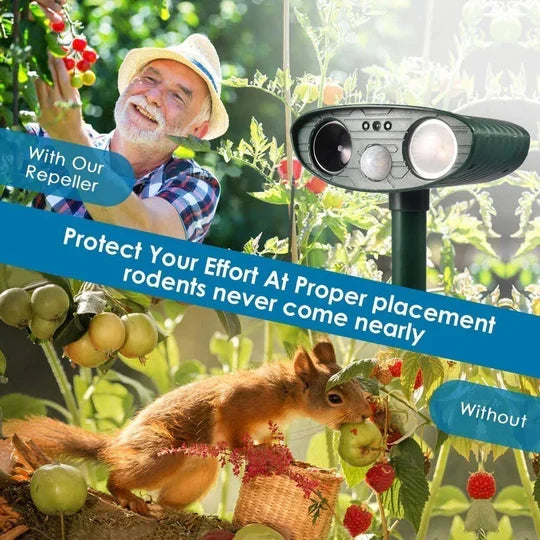 Terrion™ - Motion-Activated Yard Protection Day and Night