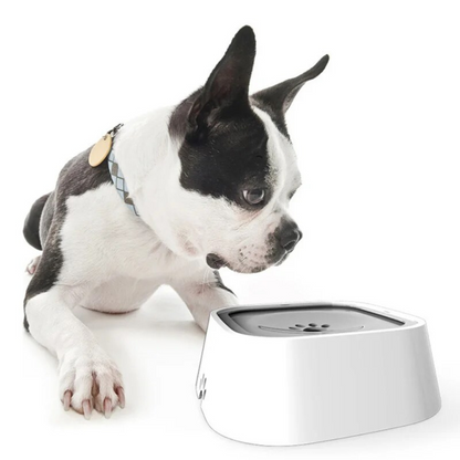 Hydra™ - Controlled Water Flow Bowl For Calm Drinking