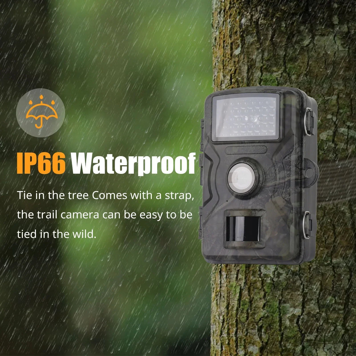 Sentryo™ - Night-Ready Trail Camera For Reliable Field Monitoring