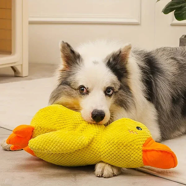 Duxen™ - Soothing Squeak for Calm, Playful Moments