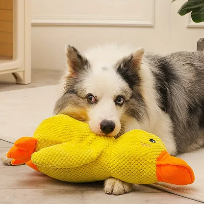Duxen™ - Soothing Squeak for Calm, Playful Moments