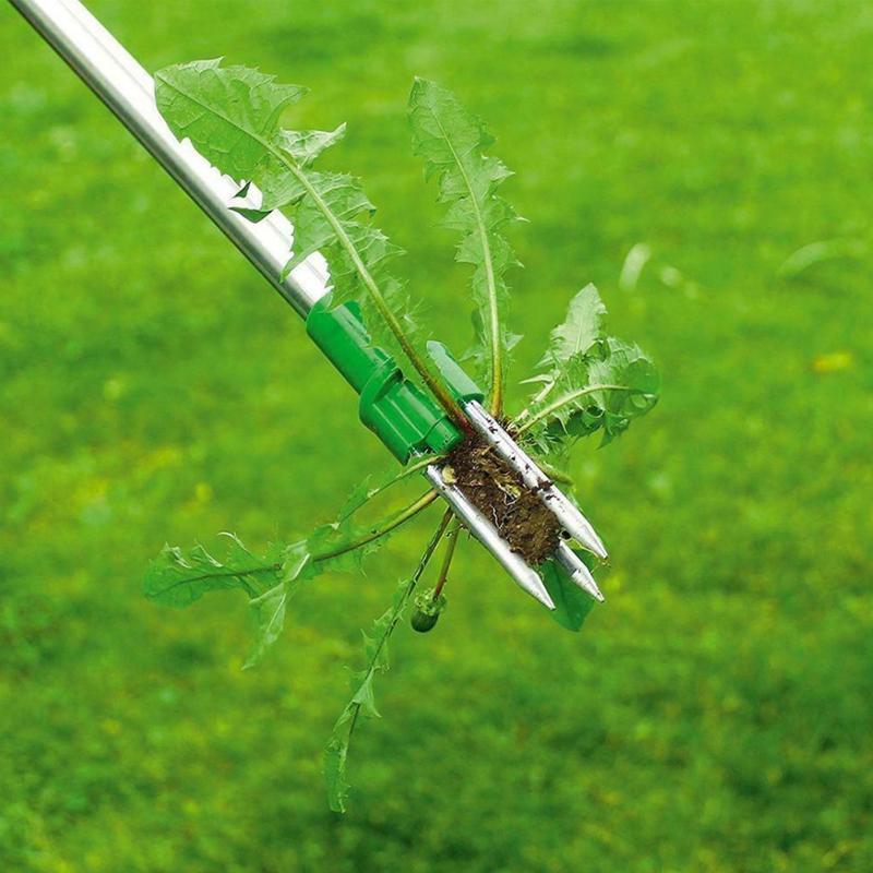 Rootix™ - Remove Weeds From Standing Height Easily