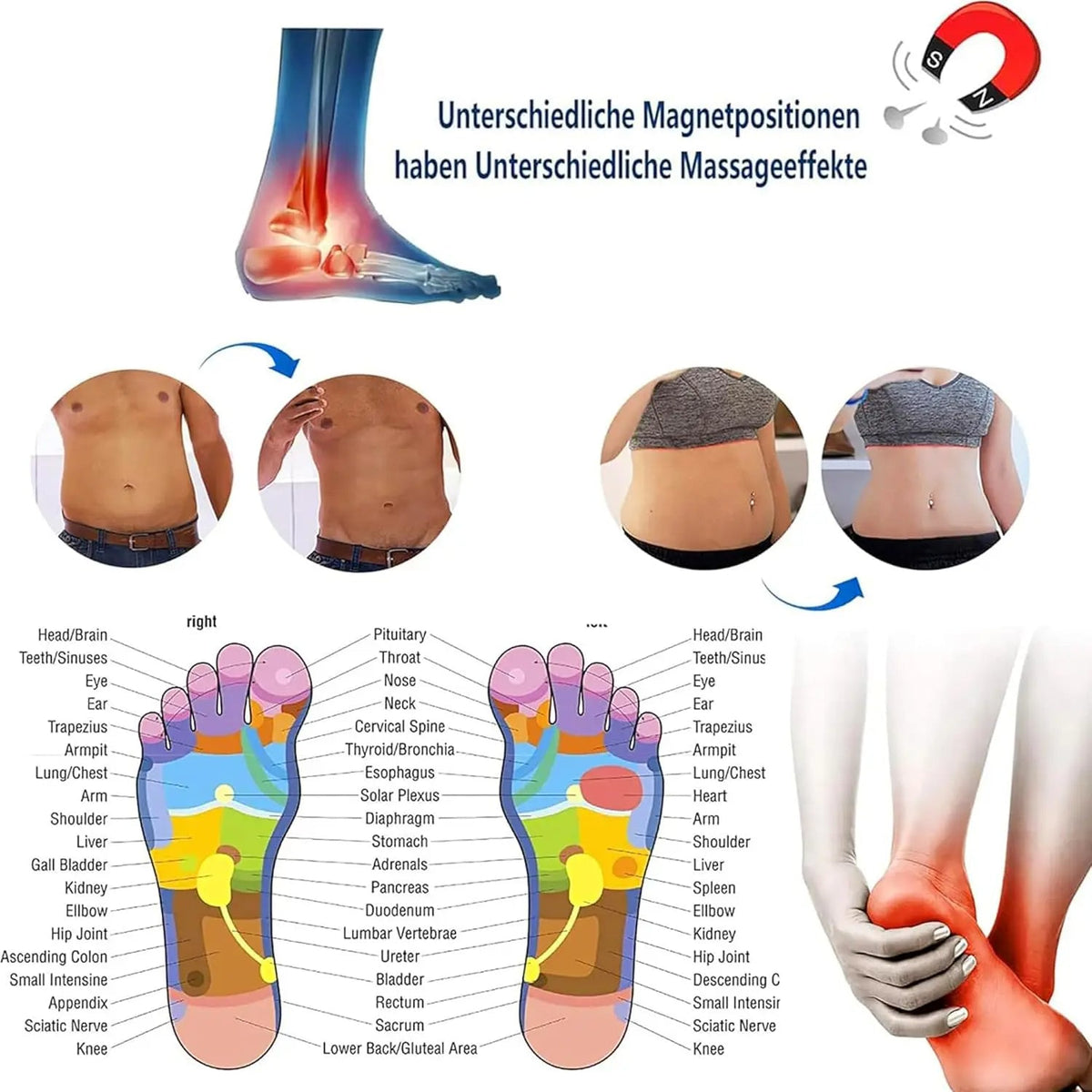 Aurex™ - Targeted Magnetic Foot Support For Daily Comfort
