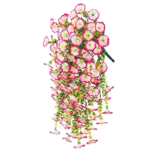 Aureli™ - Year-Round UV Resistant Cascading Morning Glory Vine