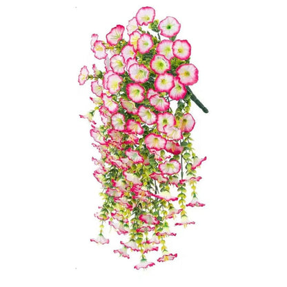 Aureli™ - Year-Round UV Resistant Cascading Morning Glory Vine