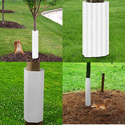 BarkSafe™ - Gentle Tree Protection Against Climbing Pests