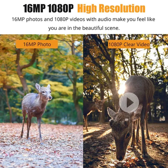 Sentryo™ - Night-Ready Trail Camera For Reliable Field Monitoring