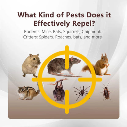 Quieta™ - Silent Protection Against Indoor Rodents