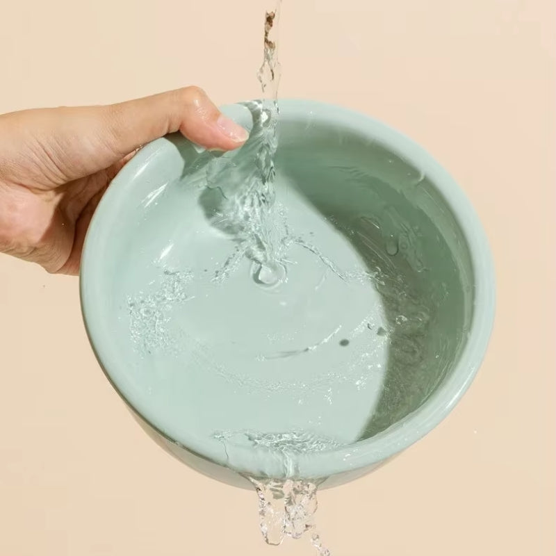 Alorra™ - Raised Ceramic Bowl For Comfortable Mealtimes