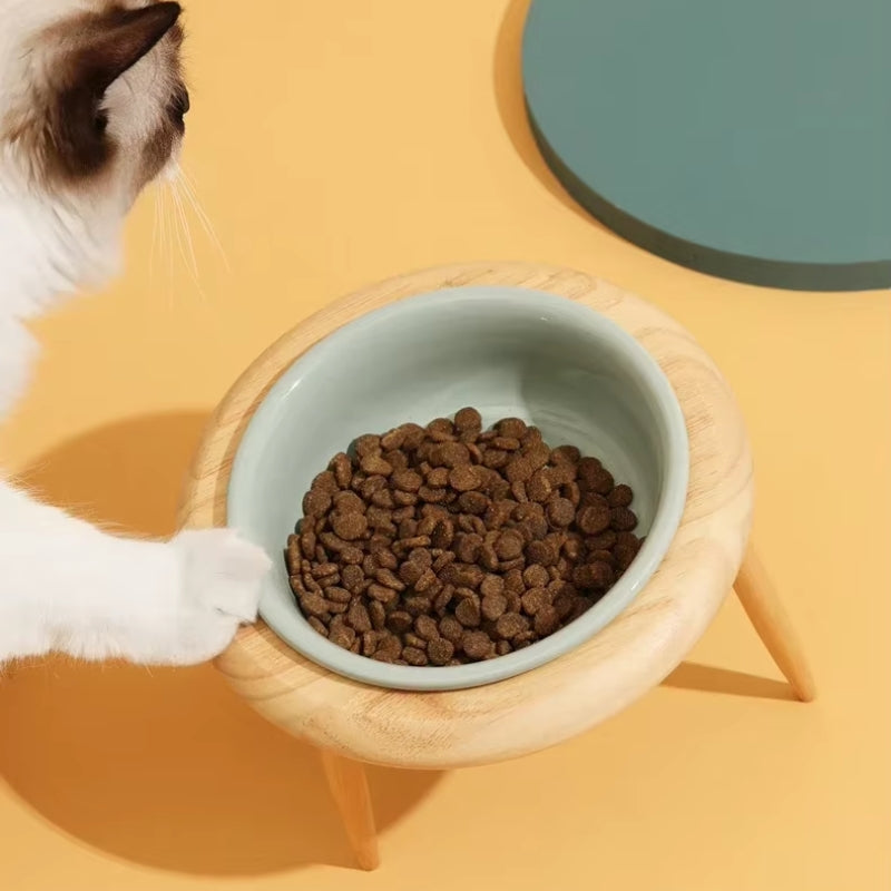 Alorra™ - Raised Ceramic Bowl For Comfortable Mealtimes