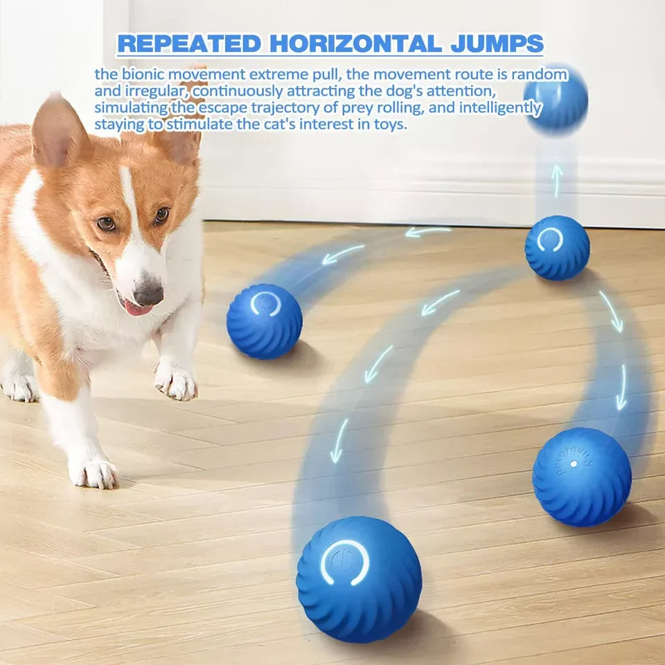 Rollo™ - Self-Moving Play for Pets and People