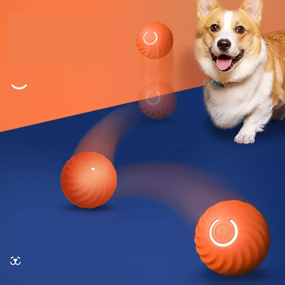 Rollo™ - Self-Moving Play for Pets and People