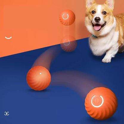 Rollo™ - Self-Moving Play for Pets and People