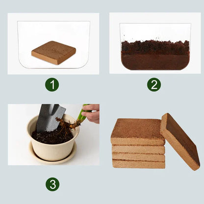 Vivaro™ - Compact Coconut Coir That Expands Easily