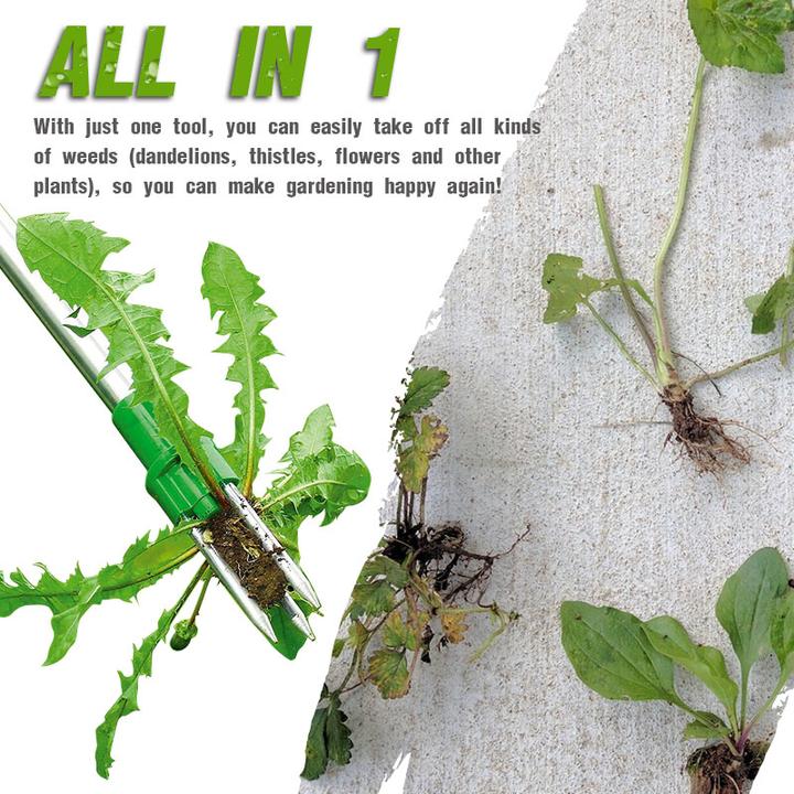 Rootix™ - Remove Weeds From Standing Height Easily