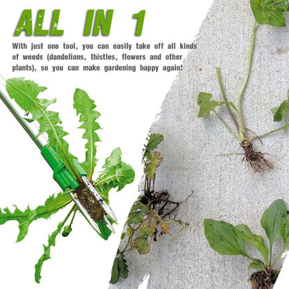 Rootix™ - Remove Weeds From Standing Height Easily