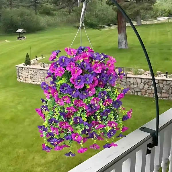 Aureli™ - Year-Round UV Resistant Cascading Morning Glory Vine
