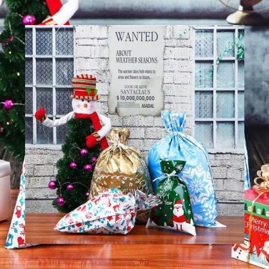 Velora™ - Durable Laminated Holiday Gift Bags