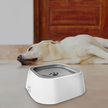 Hydra™ - Controlled Water Flow Bowl For Calm Drinking