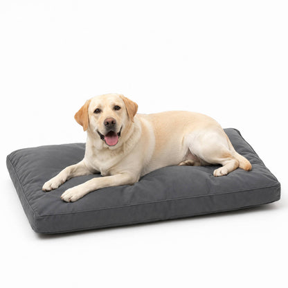 Kavro™ - Tough Comfort for Active Chewers