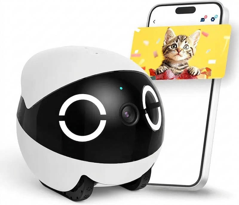 Rovero™ - Mobile Pet Monitor For Peaceful Check-Ins