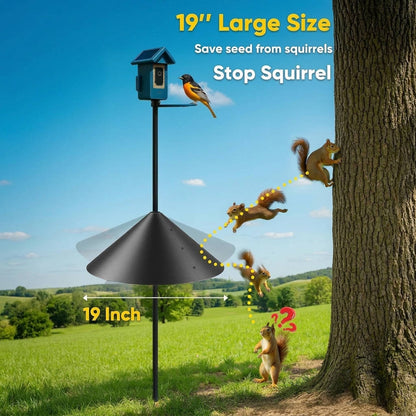 Sylva™ - Keeps Feeders Squirrel-Free and Dry