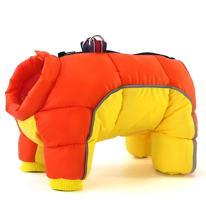 Velori™ - Cozy, Water-Resistant Warmth For Walks
