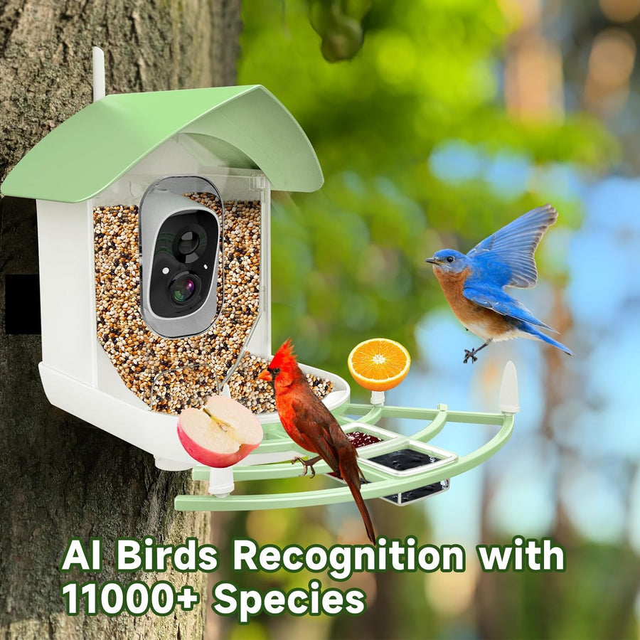 Aviara™ - Backyard Bird Watching Made Simple