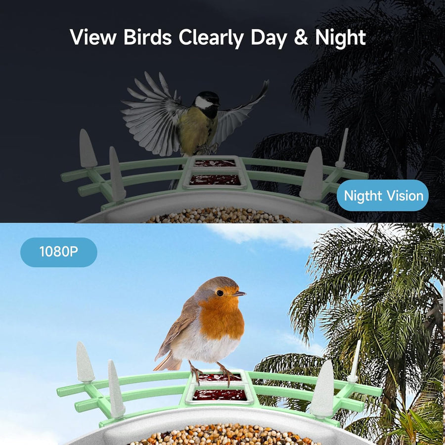 Aviara™ - Backyard Bird Watching Made Simple