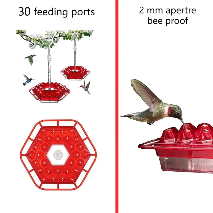 Nectara™ - Elegant Hanging Feeder for Ant-Free Viewing